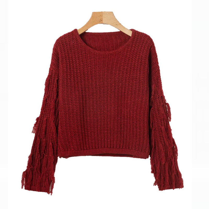 Damen Grobstrickpullover mit modischem Fransendesign und lässiger Passform W&W Mode