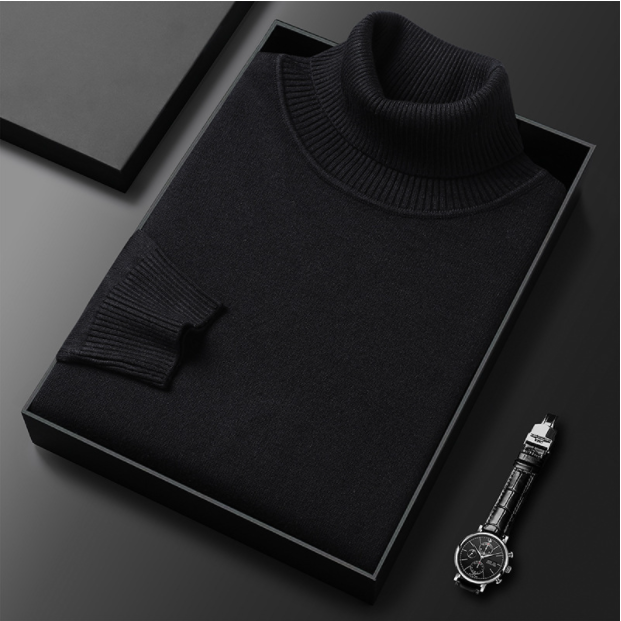 W&W Mode | Herren-Rollkragenpullover aus Feinstrick